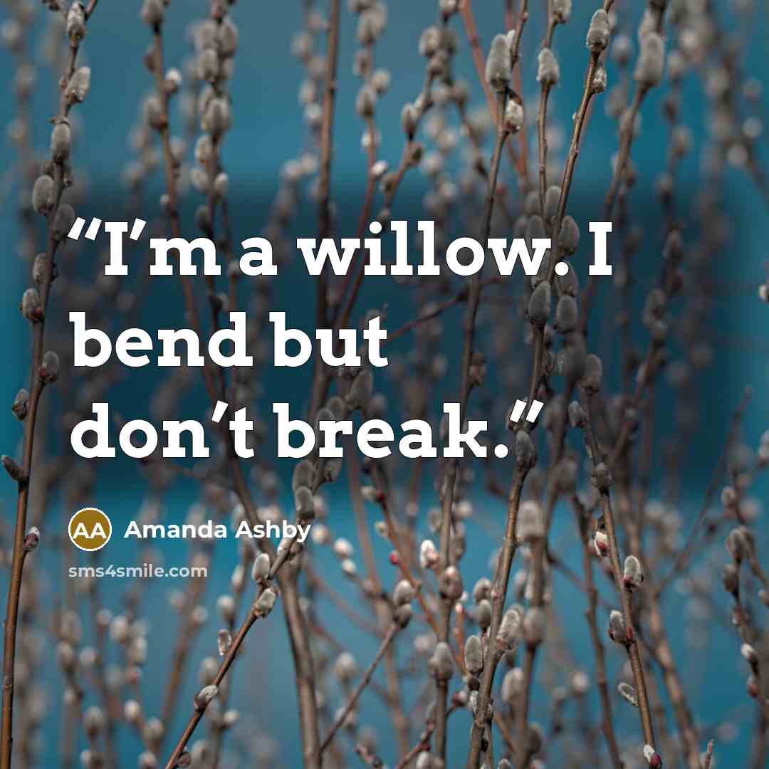 “I’m a willow. I bend but don’t break.” quote by Amanda Ashby