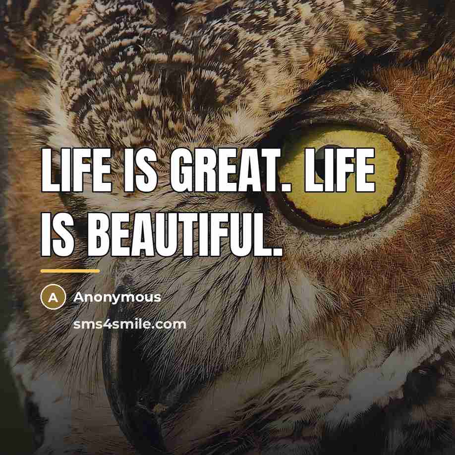 “Life is great. Life is beautiful.…” quote by Anonymous