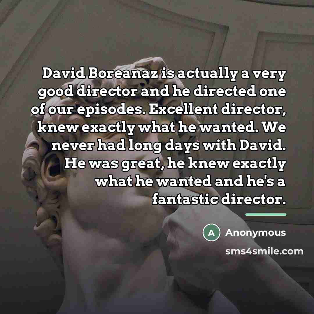 “David Boreanaz is actually a very good director and he…” quote by Anonymous