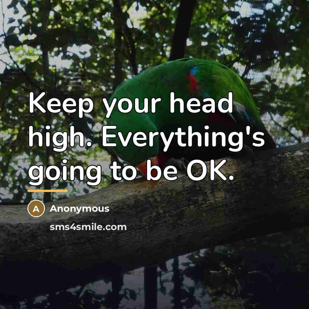 “Keep your head high. Everything's going to be OK.…” quote by Anonymous