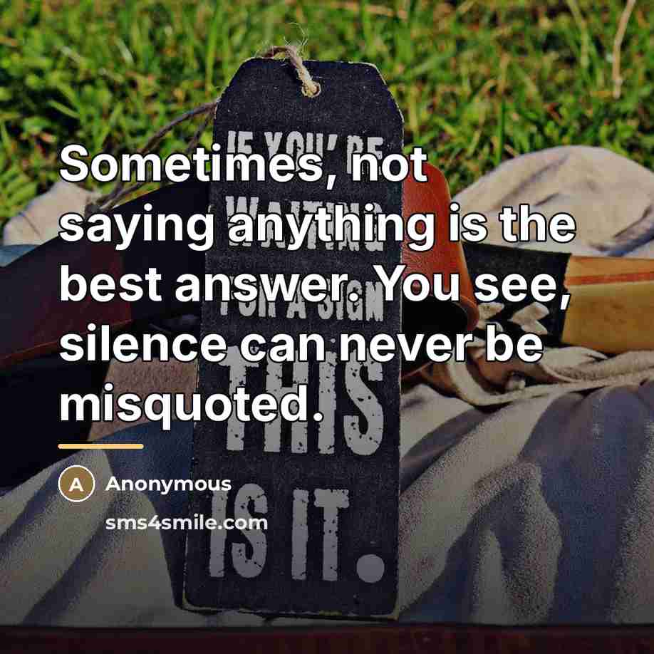 “Sometimes, not saying anything is the best answer. You see,…” quote by Anonymous