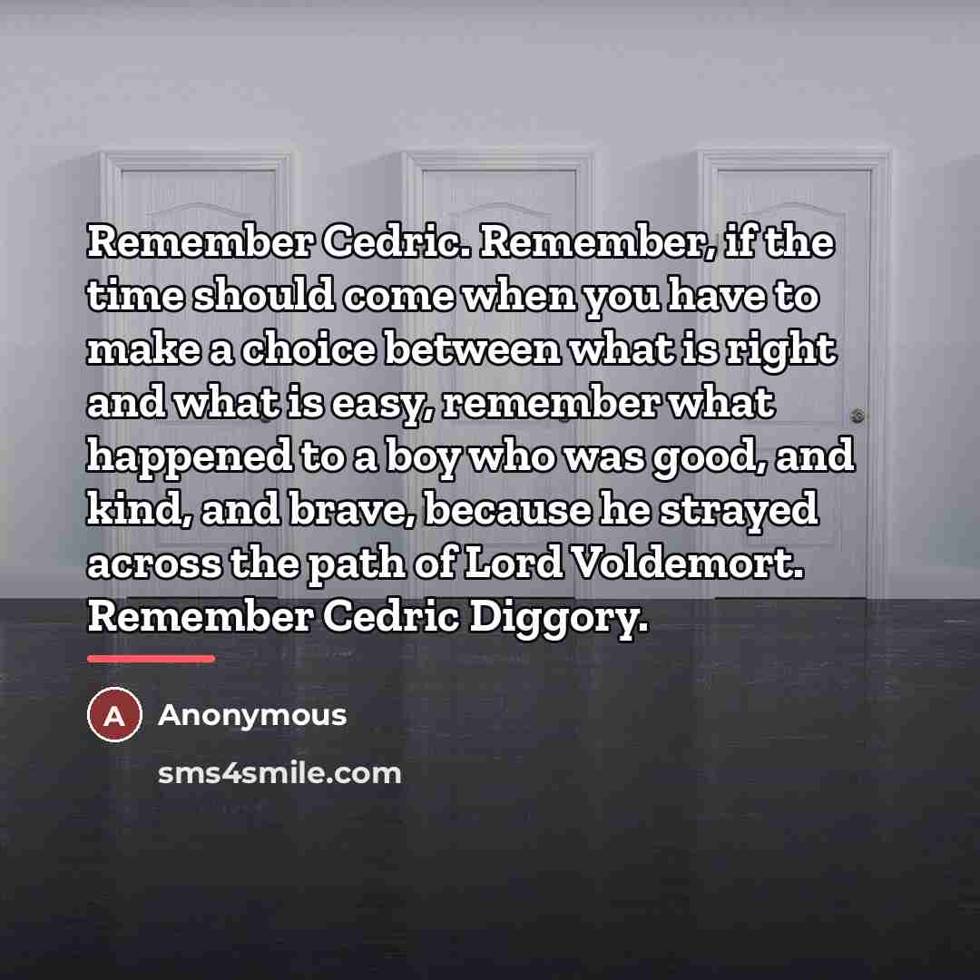 “Remember Cedric. Remember, if the time should come when you…” quote by Anonymous