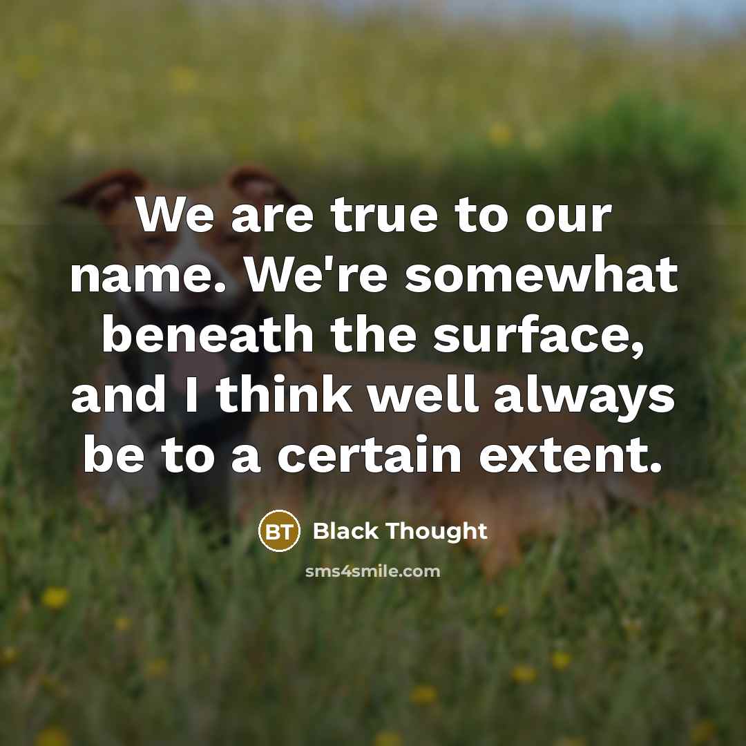 “We are true to our name. We're somewhat beneath the…” quote by Black Thought
