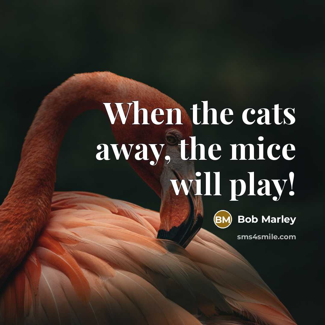 “When the cats away, the mice will play!…” quote by Bob Marley
