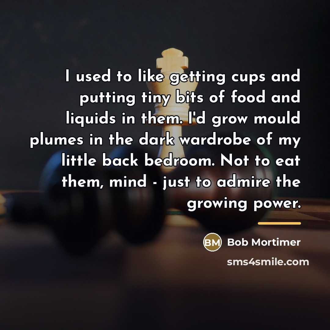 “I used to like getting cups and putting tiny bits…” quote by Bob Mortimer