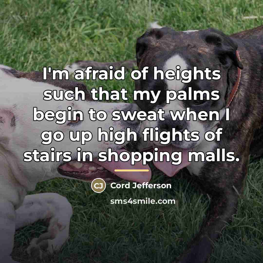 “I'm afraid of heights such that my palms begin to…” quote by Cord Jefferson