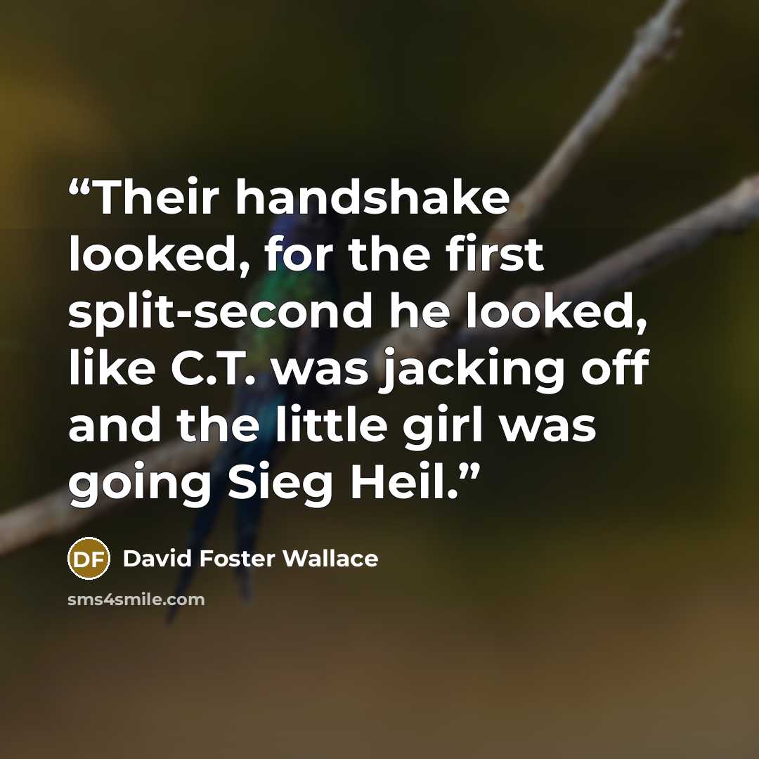 “Their handshake looked, for the first split-second he looked, like C.T. was jacking off and the little girl was going Sieg Heil.” quote by David Foster Wallace