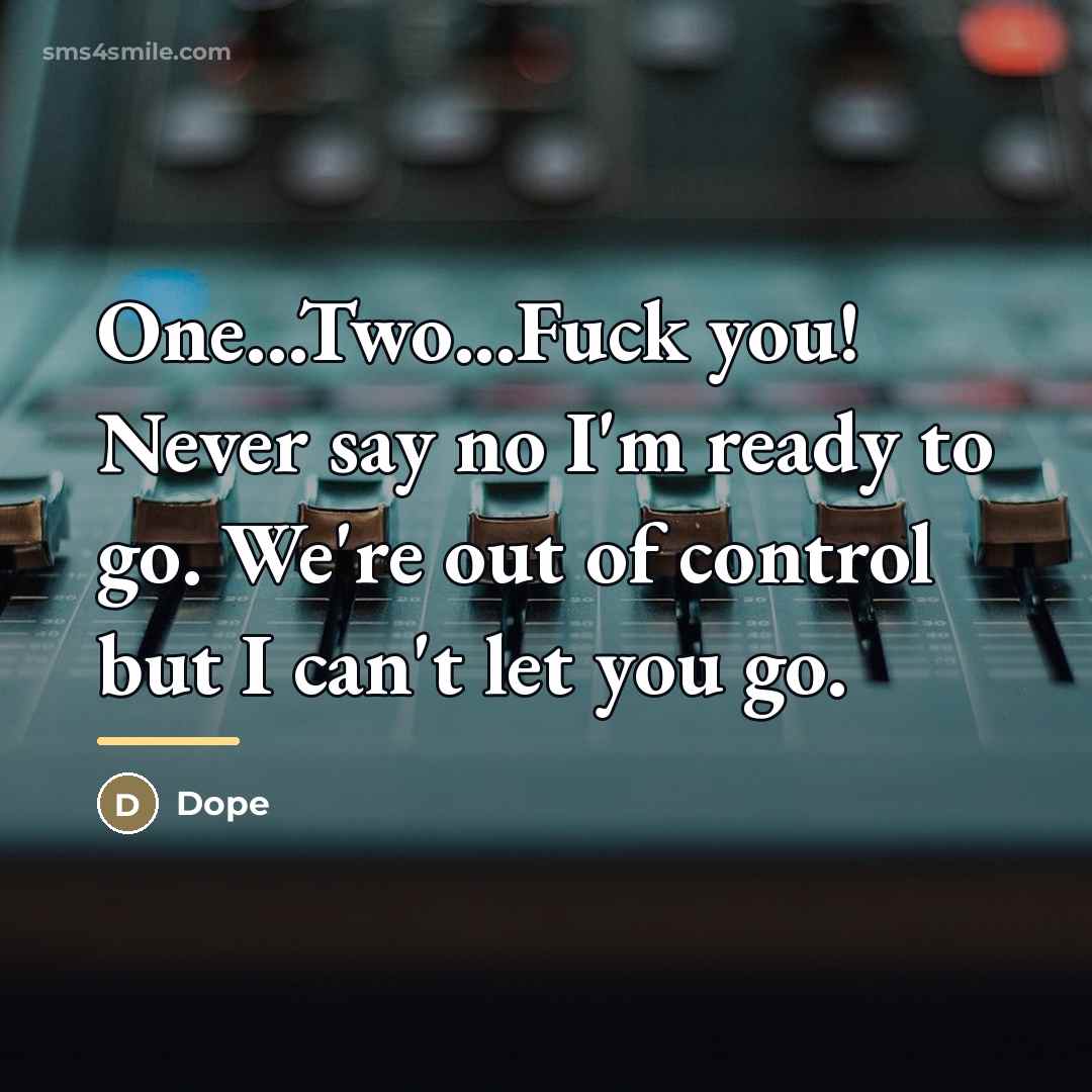 “One...Two...Fuck you! Never say no I'm ready to go. We're…” quote by Dope