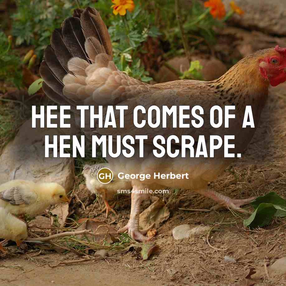 “Hee that comes of a hen must scrape.…” quote by George Herbert