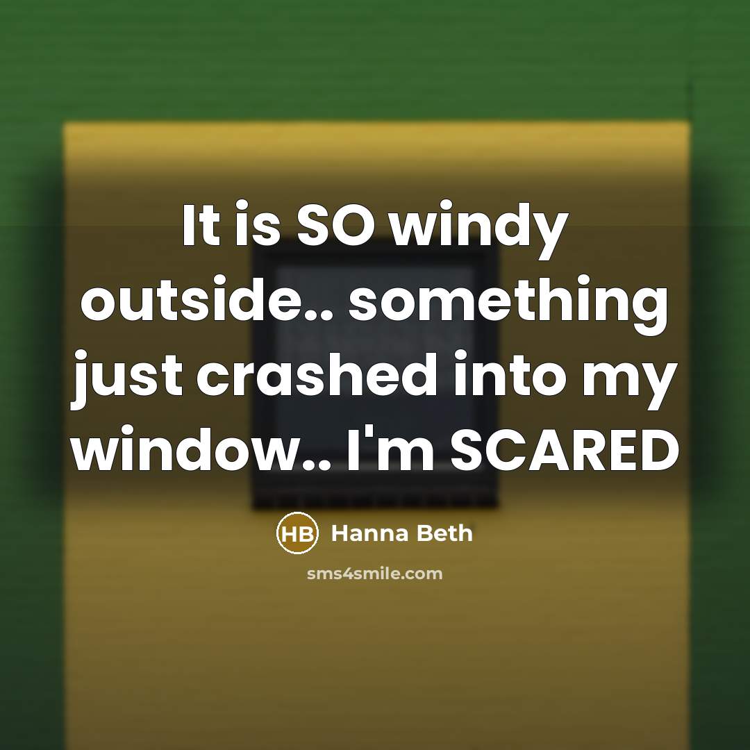 “It is SO windy outside.. something just crashed into my…” quote by Hanna Beth