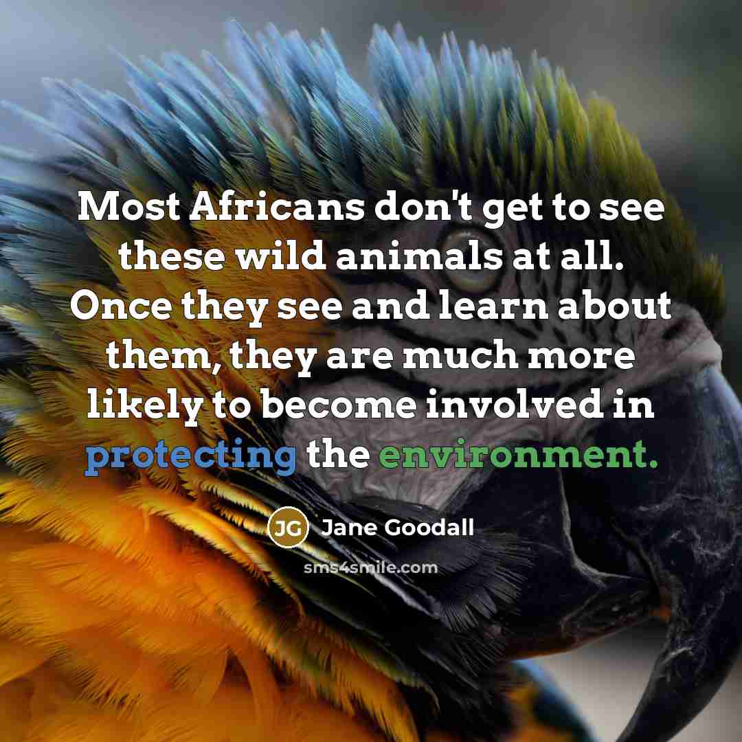 “Most Africans don't get to see these wild animals at all. Once they see and learn about them, they are much more likely to become involved in protecting the environment.” quote by Jane Goodall