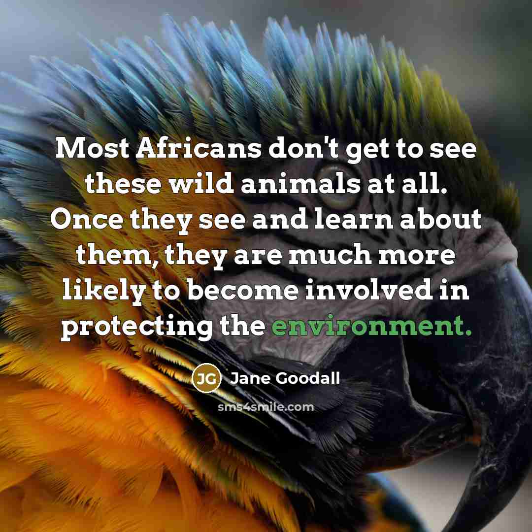 “Most Africans don't get to see these wild animals at…” quote by Jane Goodall