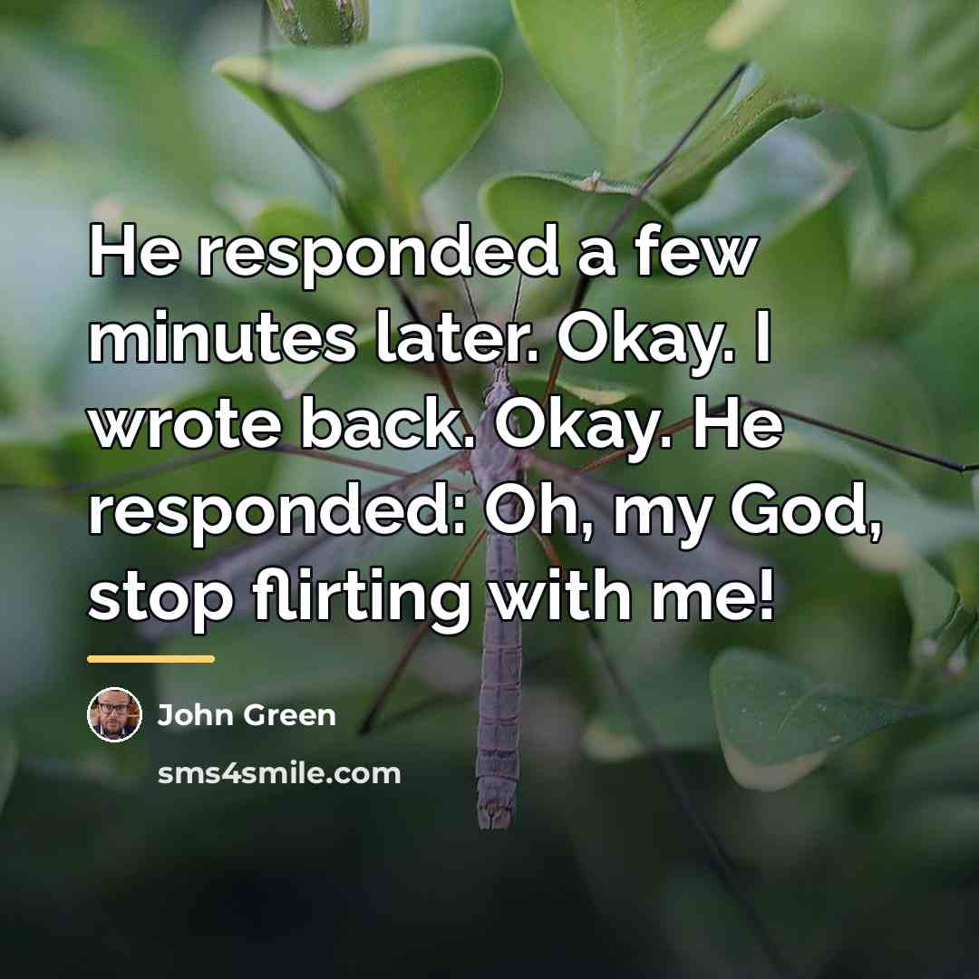 “He responded a few minutes later. Okay. I wrote back.…” quote by John Green