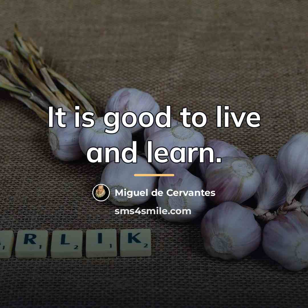 “It is good to live and learn.…” quote by Miguel de Cervantes
