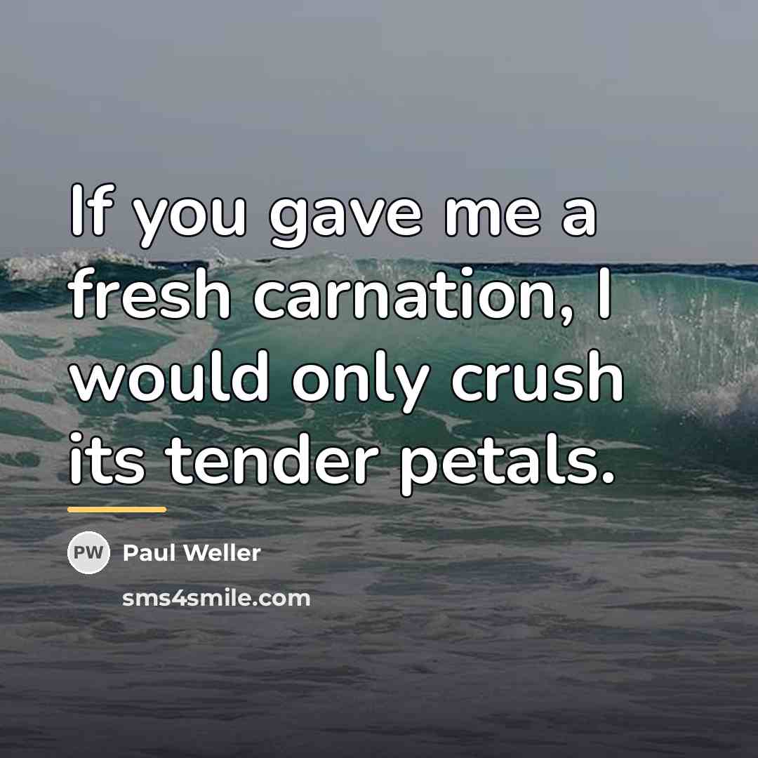 “If you gave me a fresh carnation, I would only…” quote by Paul Weller