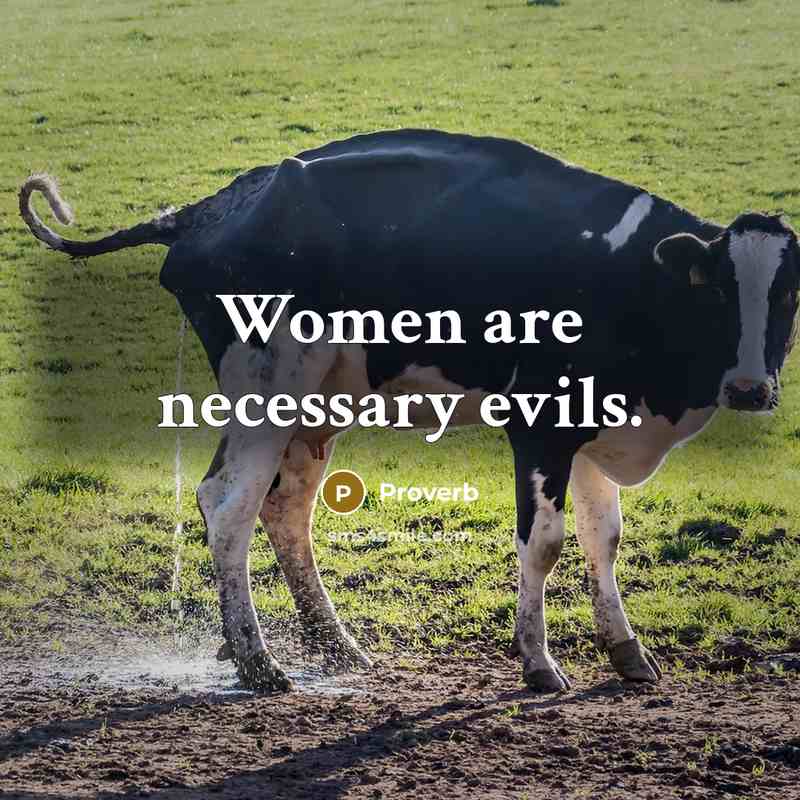 “Women are necessary evils.…” quote by Proverb
