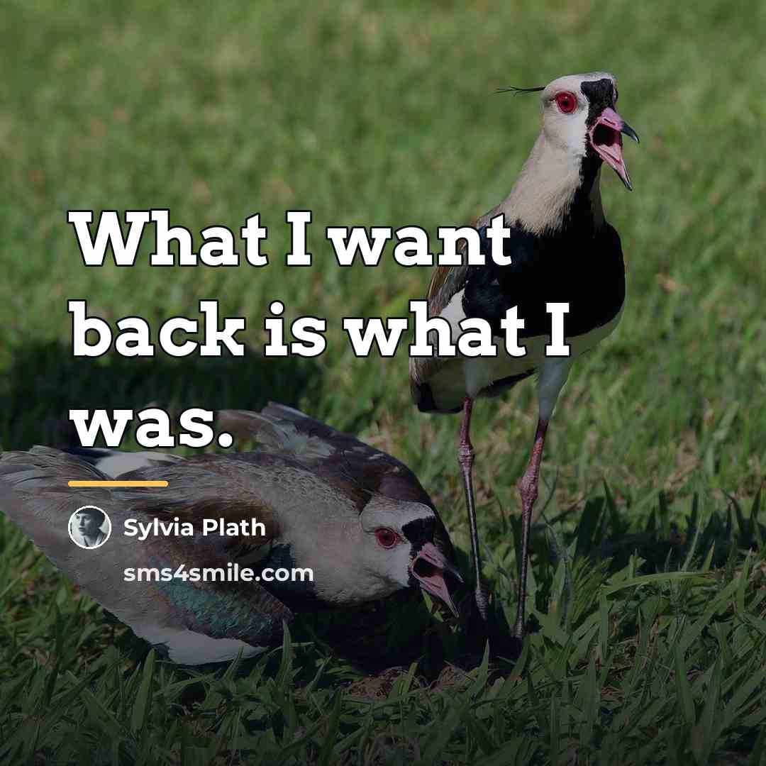“What I want back is what I was.…” quote by Sylvia Plath