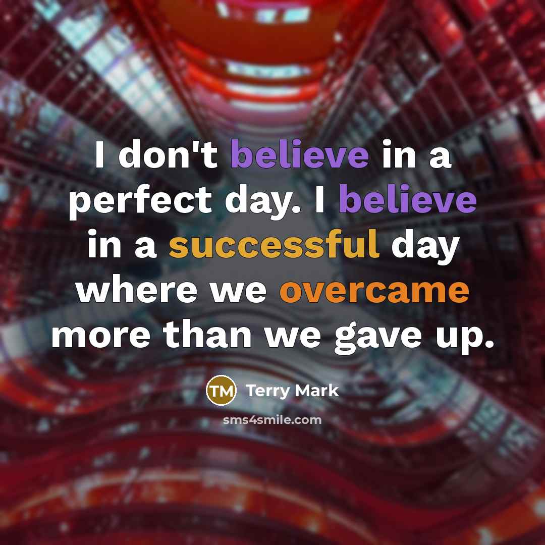 “I don't believe in a perfect day. I believe in…” quote by Terry Mark