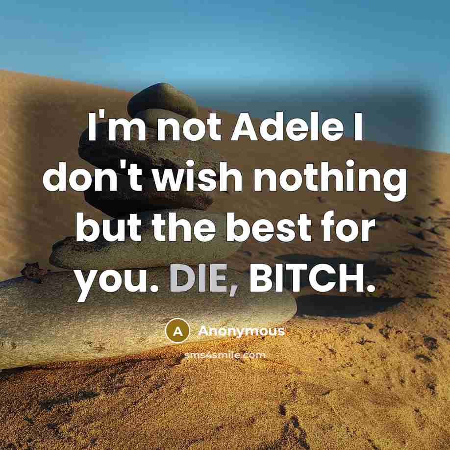“I'm not Adele I don't wish nothing but the best…” quote by Anonymous