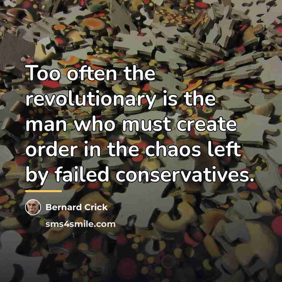 “Too often the revolutionary is the man who must create…” quote by Bernard Crick