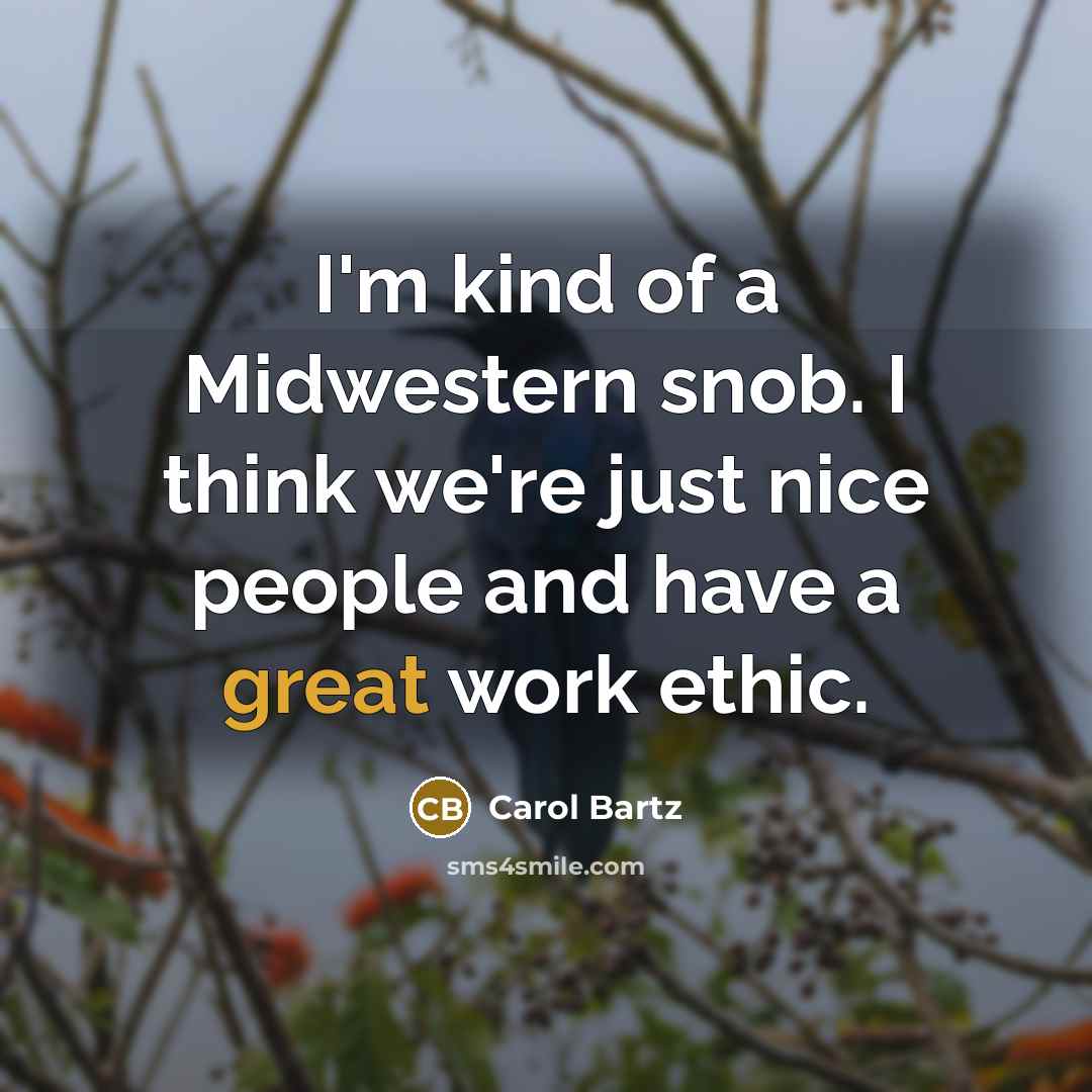 “I'm kind of a Midwestern snob. I think we're just…” quote by Carol Bartz