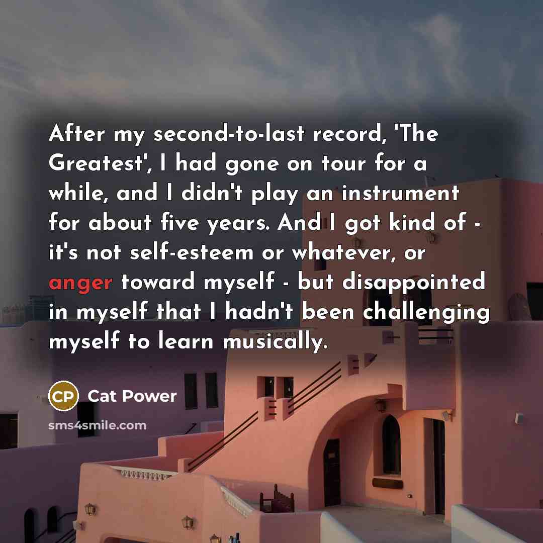 “After my second-to-last record, 'The Greatest', I had gone on…” quote by Cat Power
