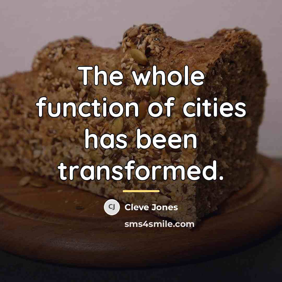 “The whole function of cities has been transformed.…” quote by Cleve Jones