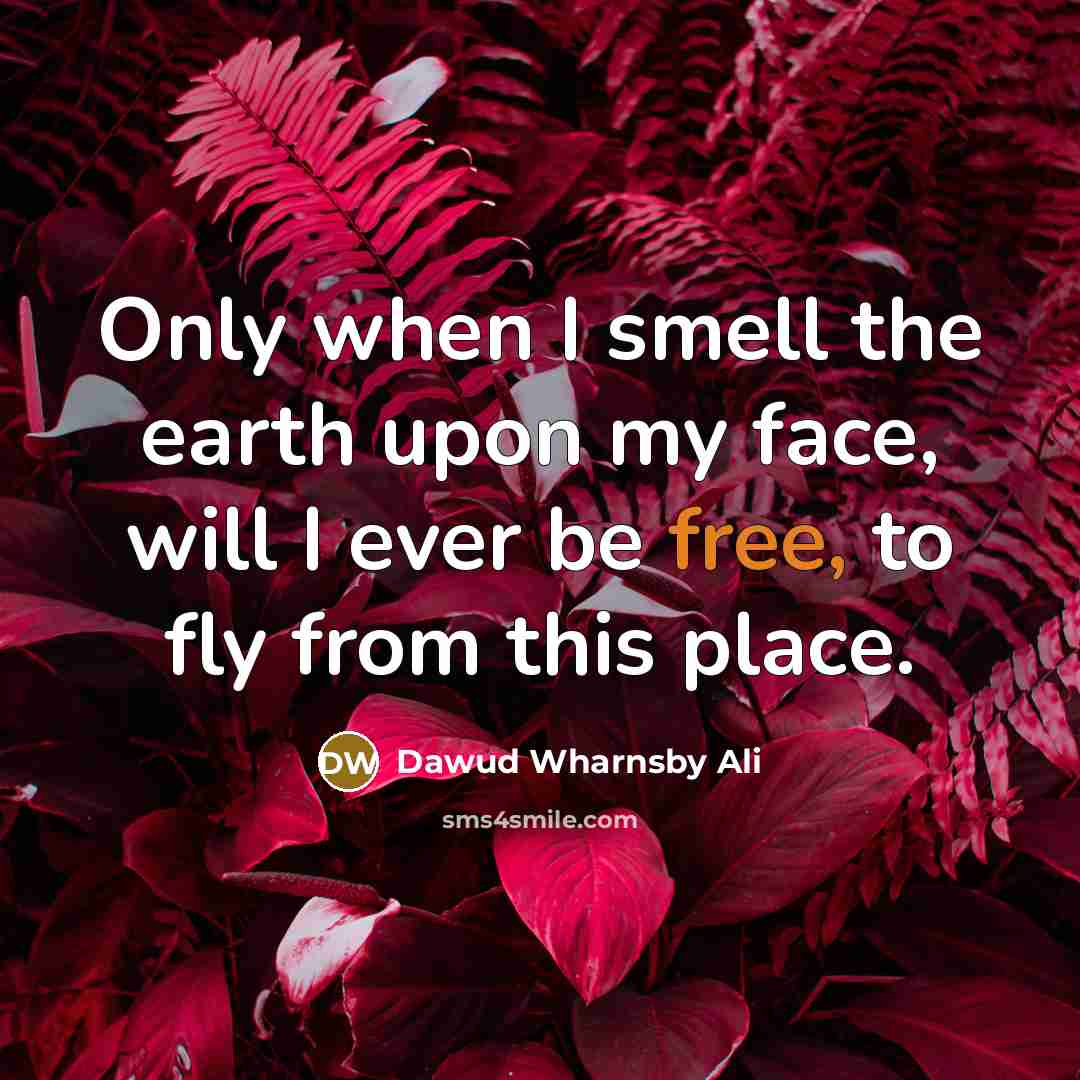 “Only when I smell the earth upon my face, will…” quote by Dawud Wharnsby Ali