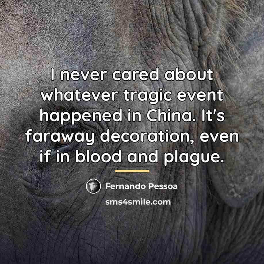 “I never cared about whatever tragic event happened in China.…” quote by Fernando Pessoa