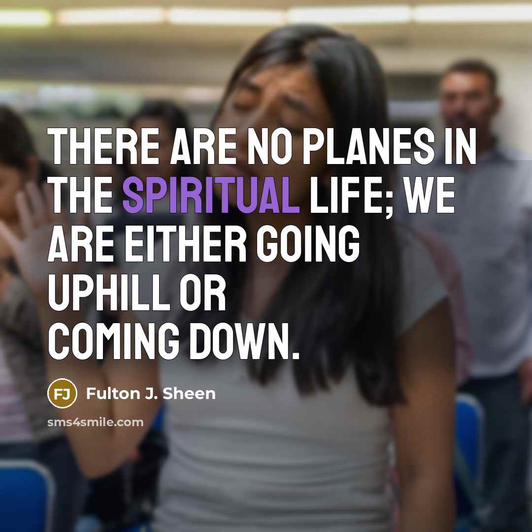 “There are no planes in the spiritual life; we are…” quote by Fulton J. Sheen