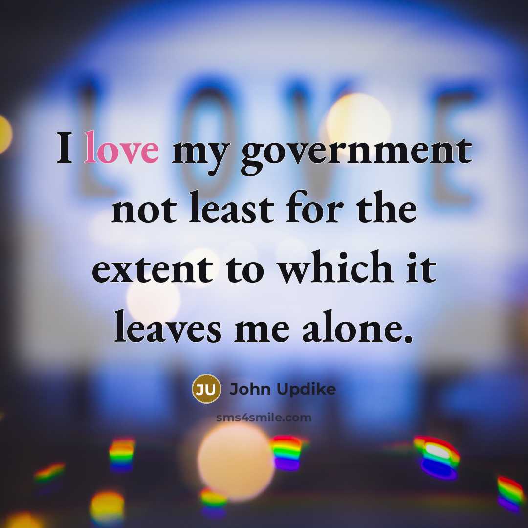 “I love my government not least for the extent to which it leaves me alone.” quote by John Updike