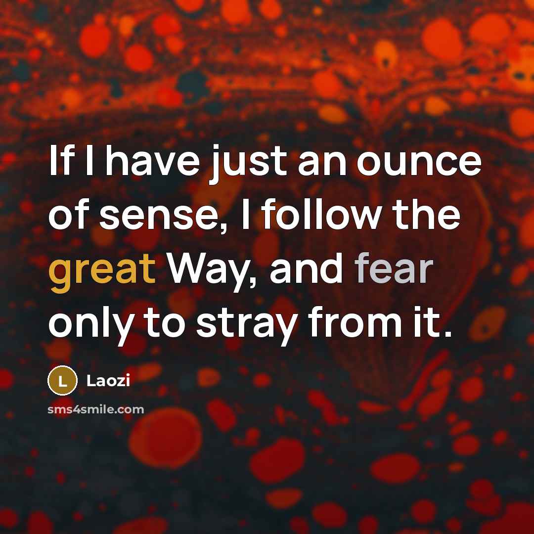 “If I have just an ounce of sense, I follow…” quote by Laozi