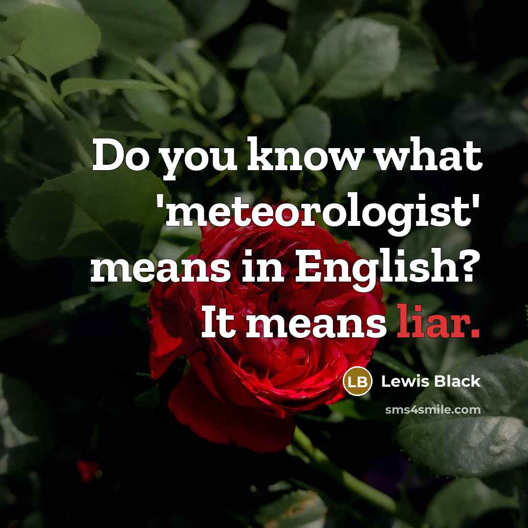 “Do you know what 'meteorologist' means in English? It means…” quote by Lewis Black