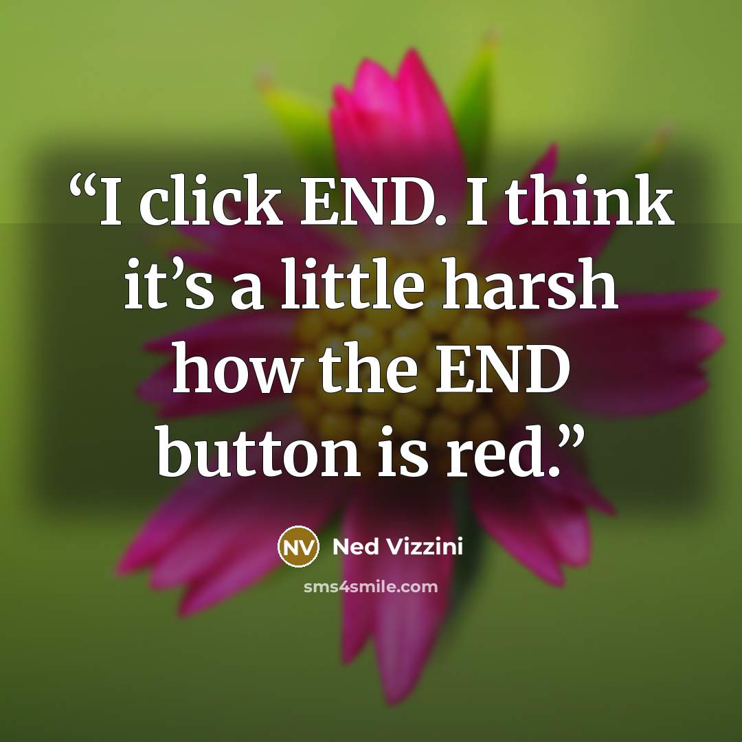 “I click END. I think it’s a little harsh how the END button is red.” quote by Ned Vizzini