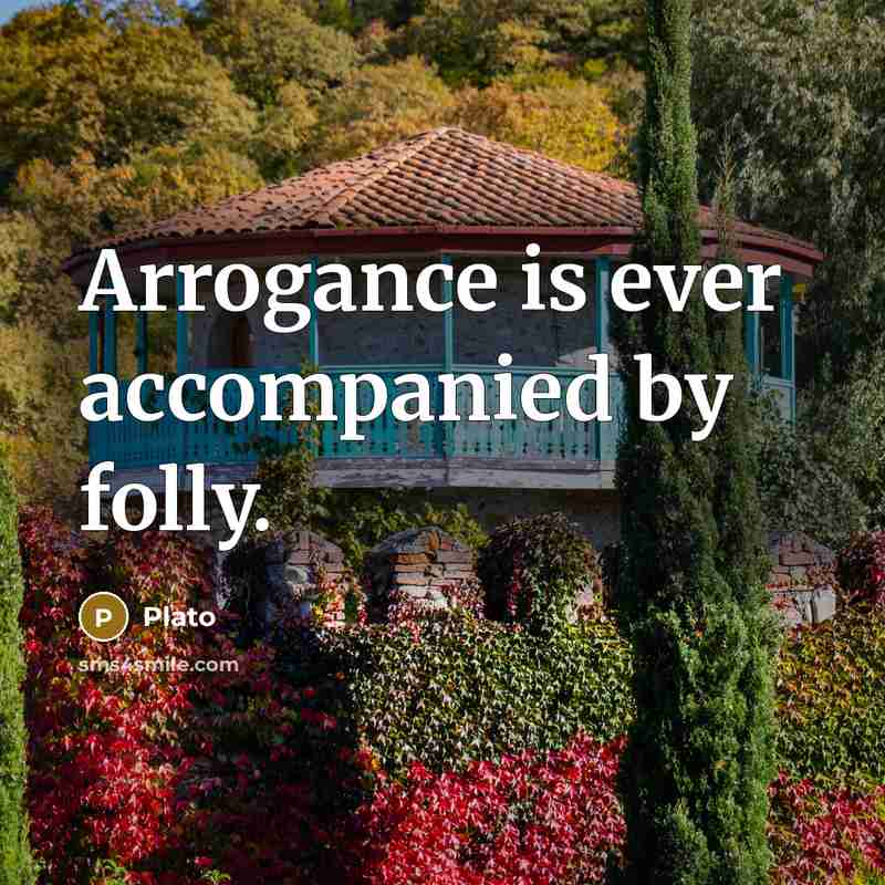 “Arrogance is ever accompanied by folly.…” quote by Plato