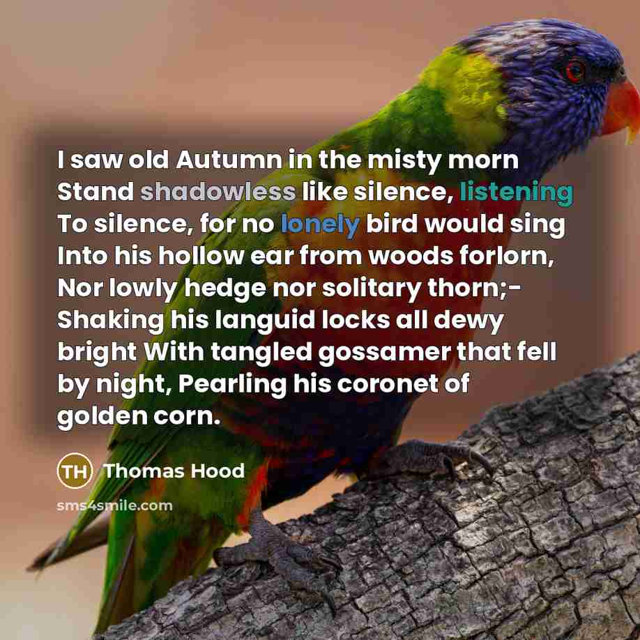 “I saw old Autumn in the misty morn Stand shadowless…” quote by Thomas Hood