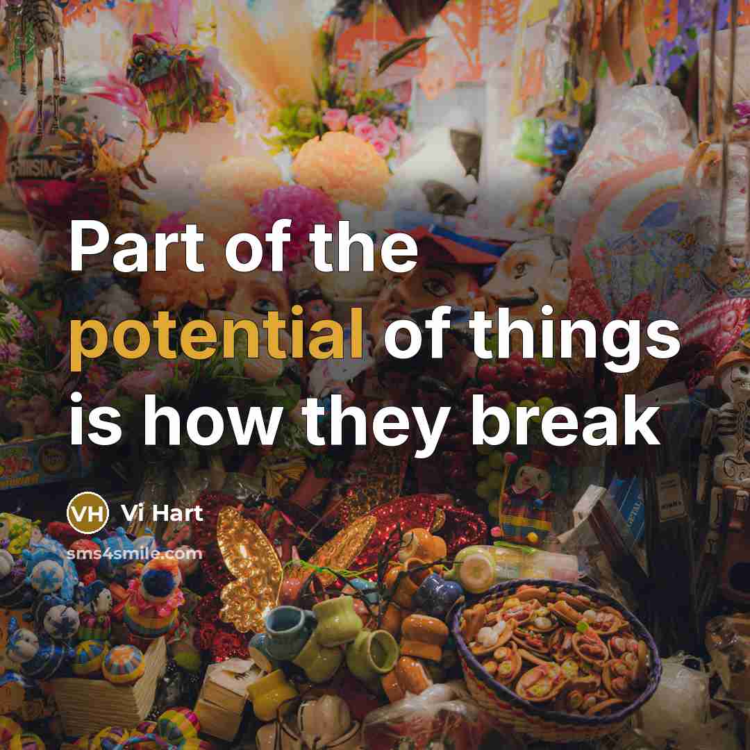 “Part of the potential of things is how they break…” quote by Vi Hart