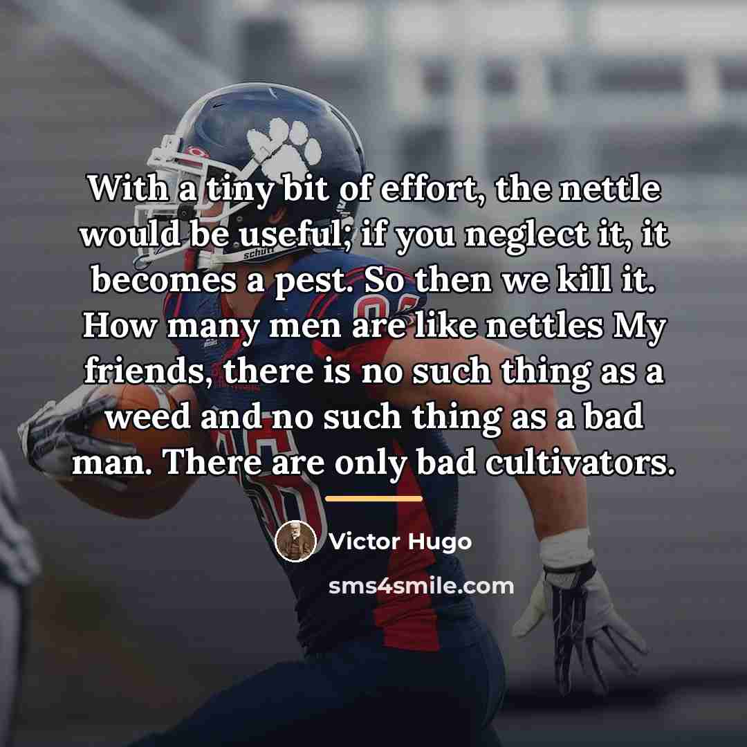 “With a tiny bit of effort, the nettle would be…” quote by Victor Hugo
