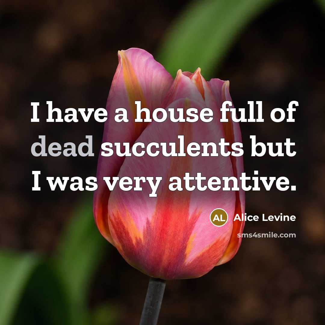 “I have a house full of dead succulents but I…” quote by Alice Levine