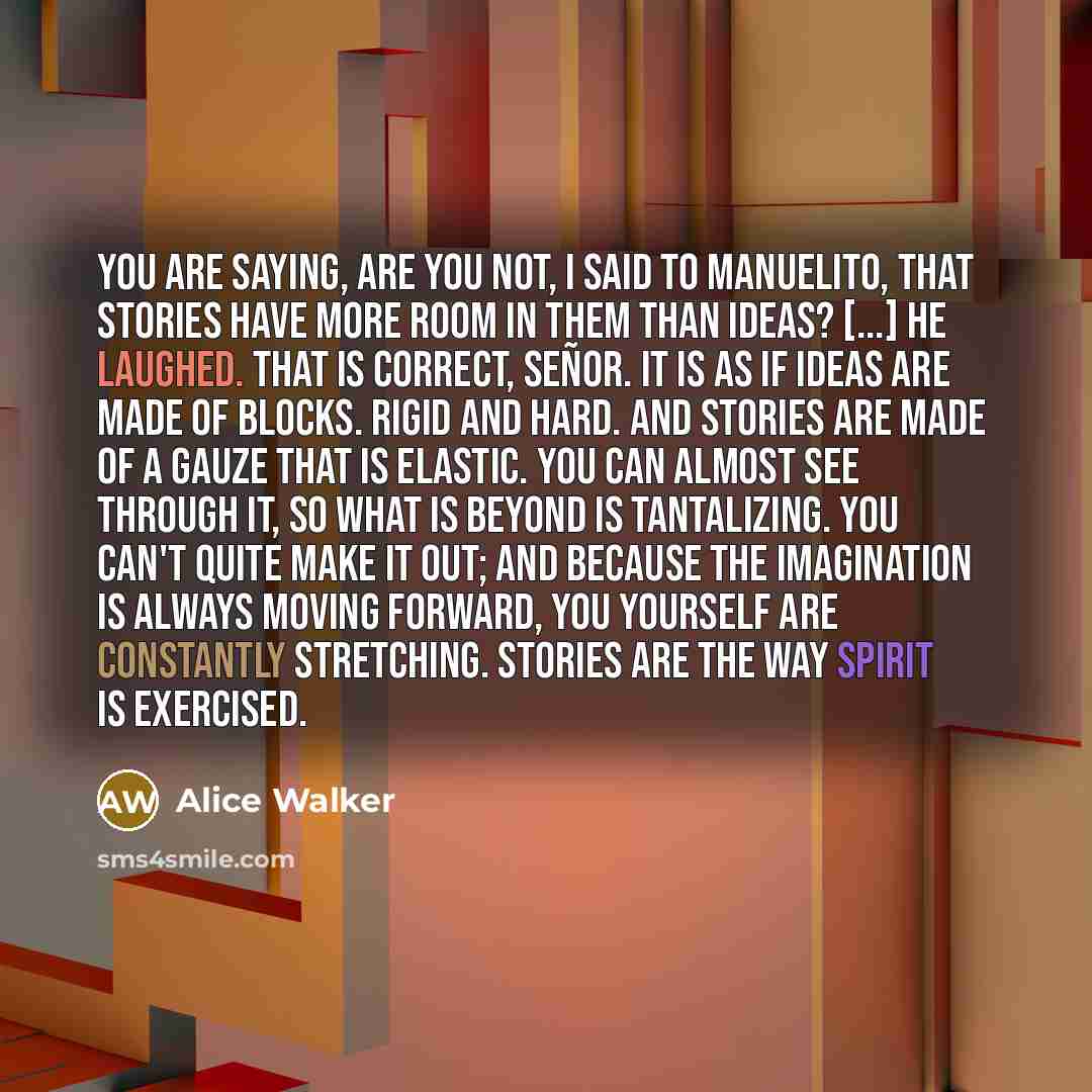 “You are saying, are you not, I said to Manuelito,…” quote by Alice Walker