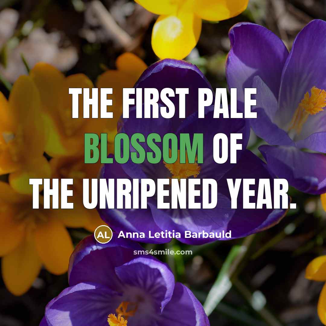 “The first pale blossom of the unripened year.” quote by Anna Letitia Barbauld