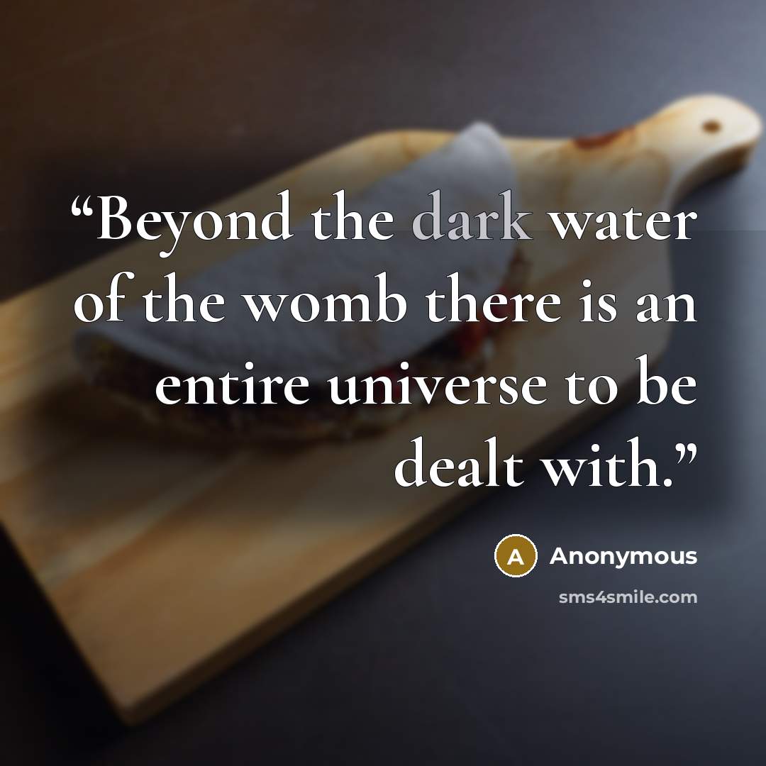 “Beyond the dark water of the womb there is an entire universe to be dealt with.” quote by Anonymous
