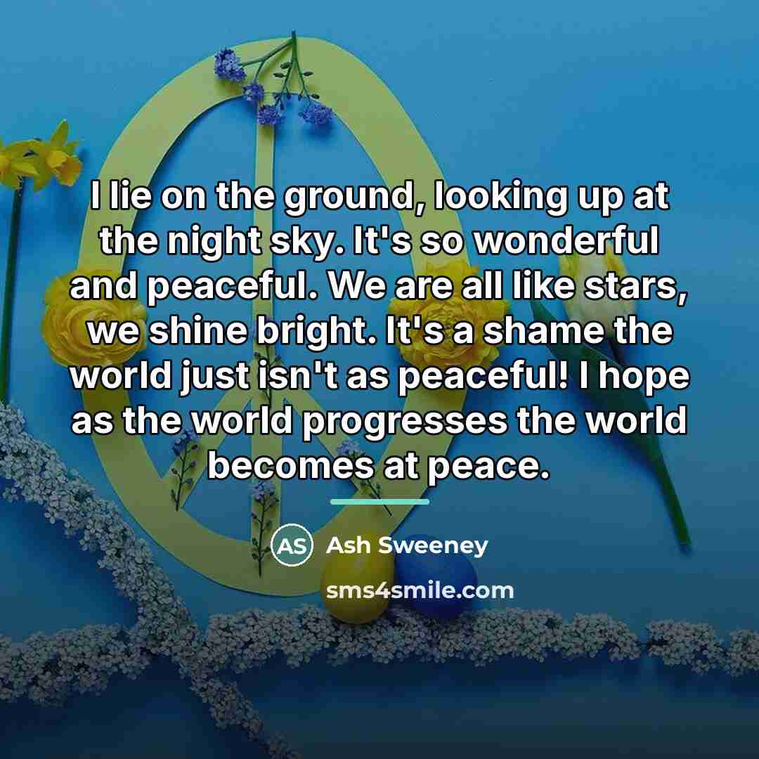 “I lie on the ground, looking up at the night…” quote by Ash Sweeney
