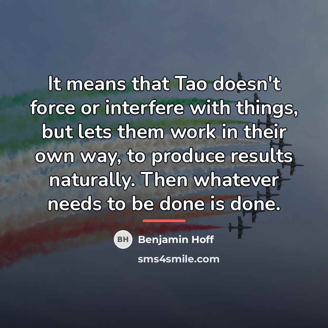 “It means that Tao doesn't force or interfere with things,…” quote by Benjamin Hoff