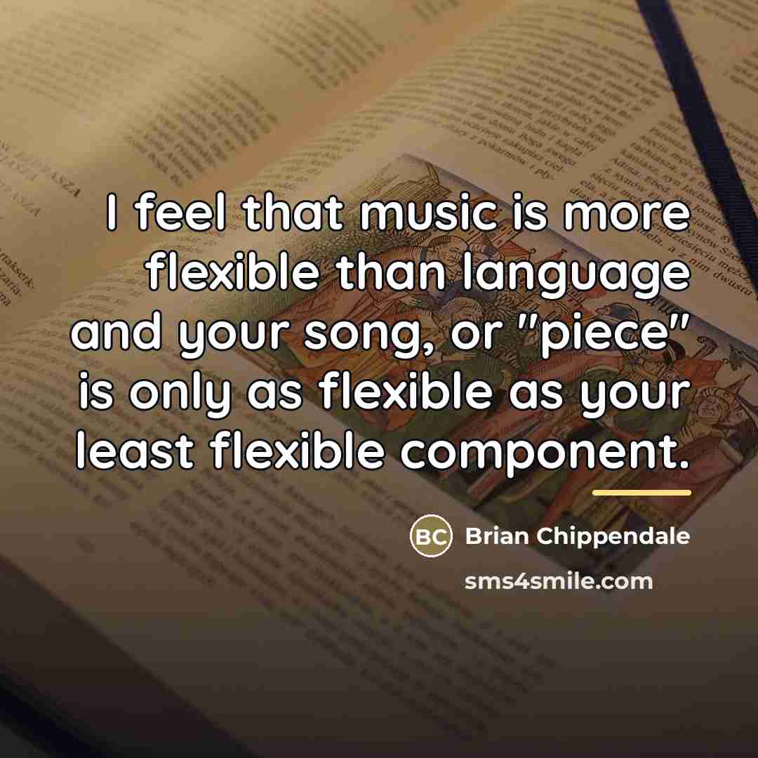 “I feel that music is more flexible than language and…” quote by Brian Chippendale