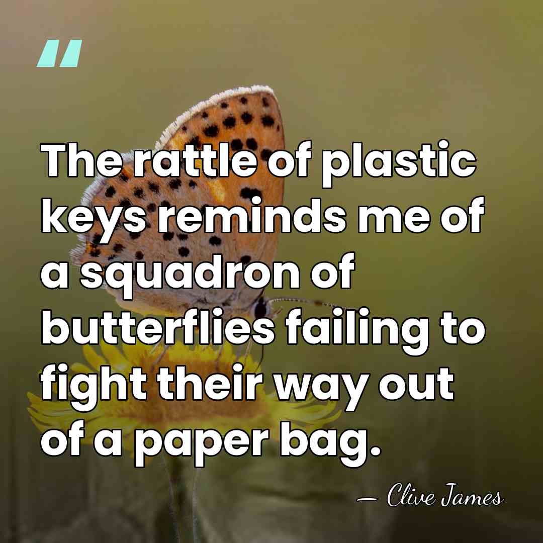 The rattle of plastic keys reminds me of a squadron of butterflies&hellip; - Clive James