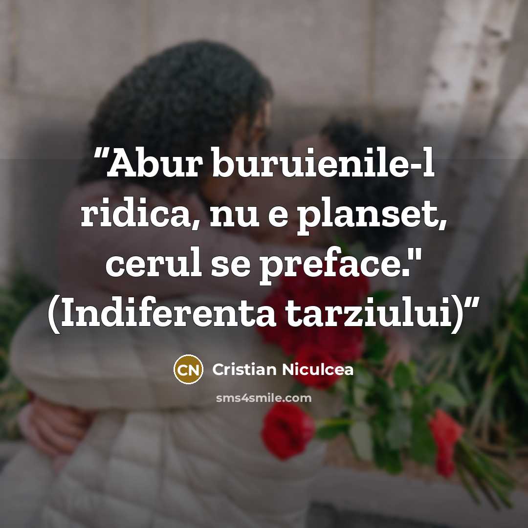 “Abur buruienile-l ridica, nu e planset, cerul se preface." (Indiferenta tarziului)” quote by Cristian Niculcea