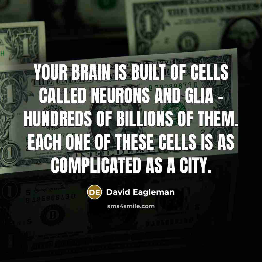 “Your brain is built of cells called neurons and glia…” quote by David Eagleman