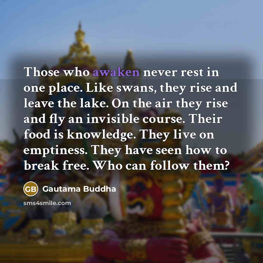 “Those who awaken never rest in one place. Like swans,…” quote by Gautama Buddha