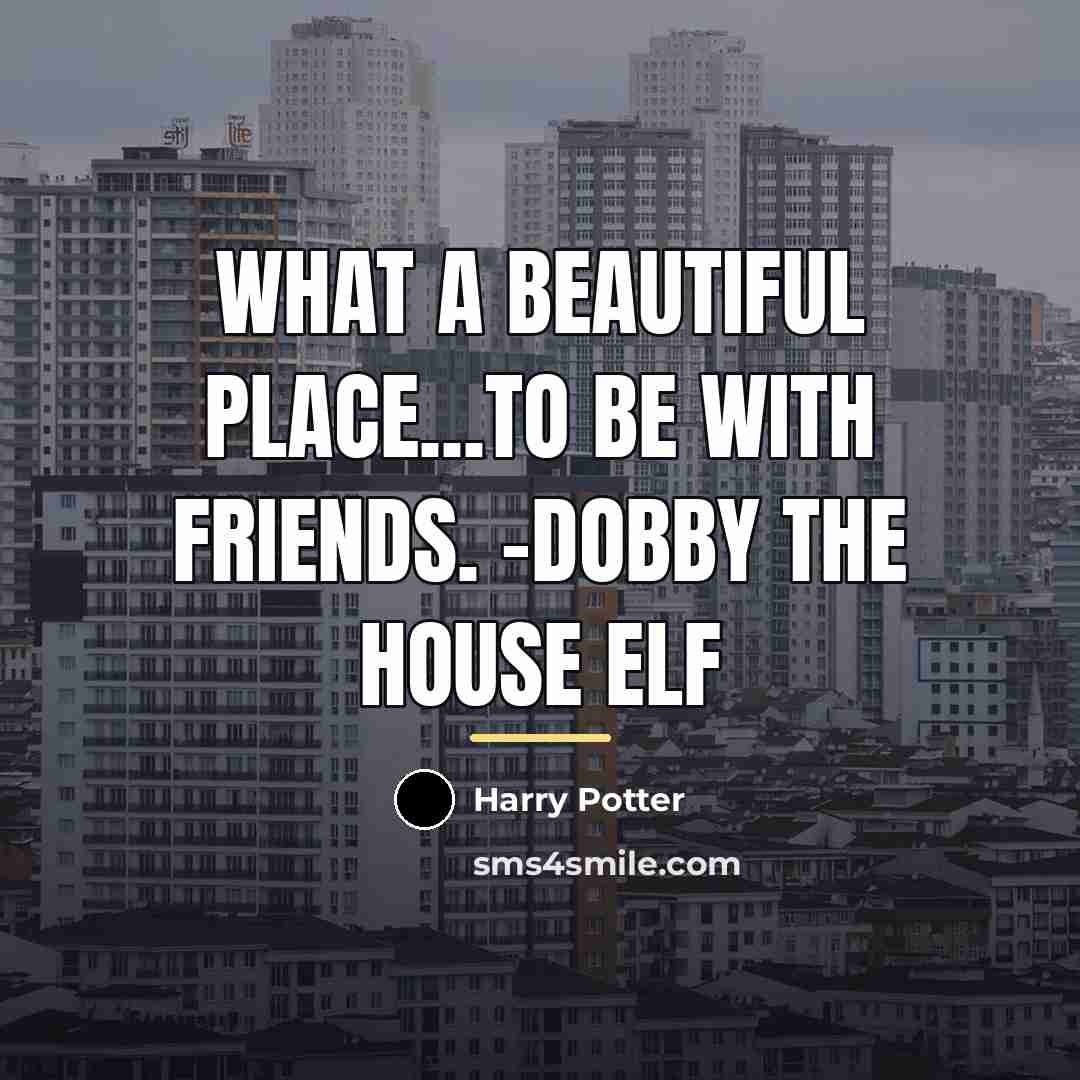 “What a beautiful place...to be with friends. -Dobby the House…” quote by Harry Potter